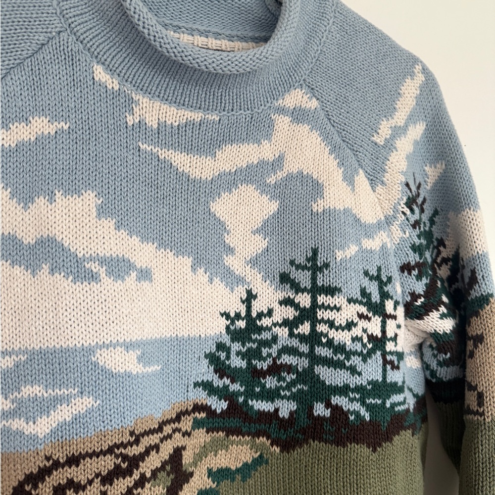 LL Bean Signature Scenic Rollneck Sweater 100% organic cotton - Picture 2 of 7